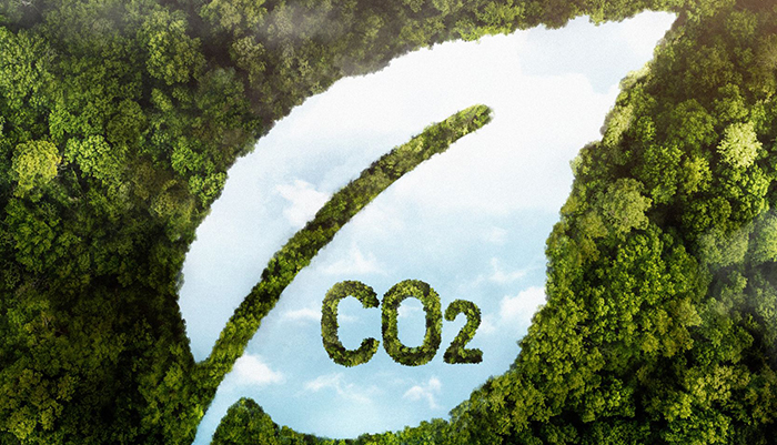 Why Belém Needs to Bridge the Adaptation Gap