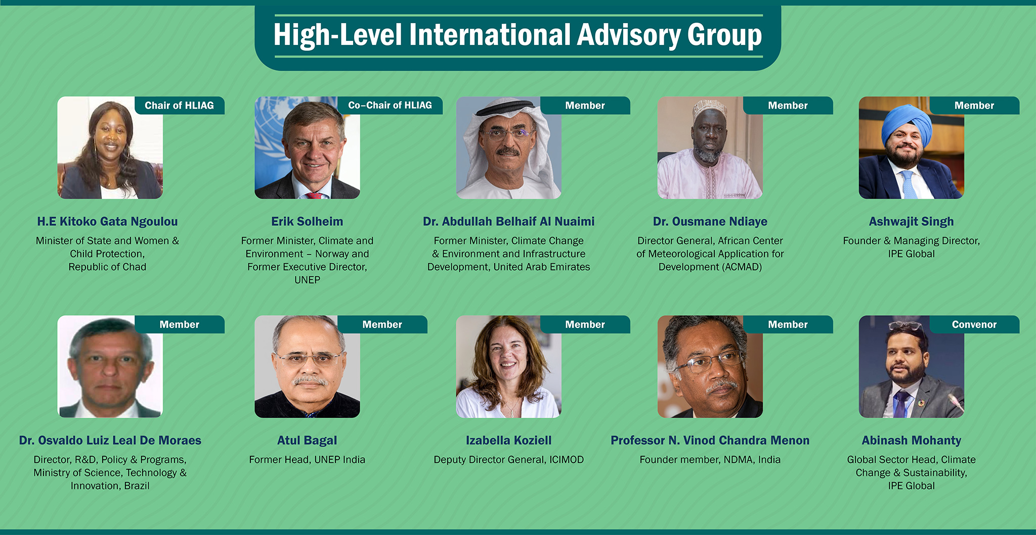 High Level International Advisory Group