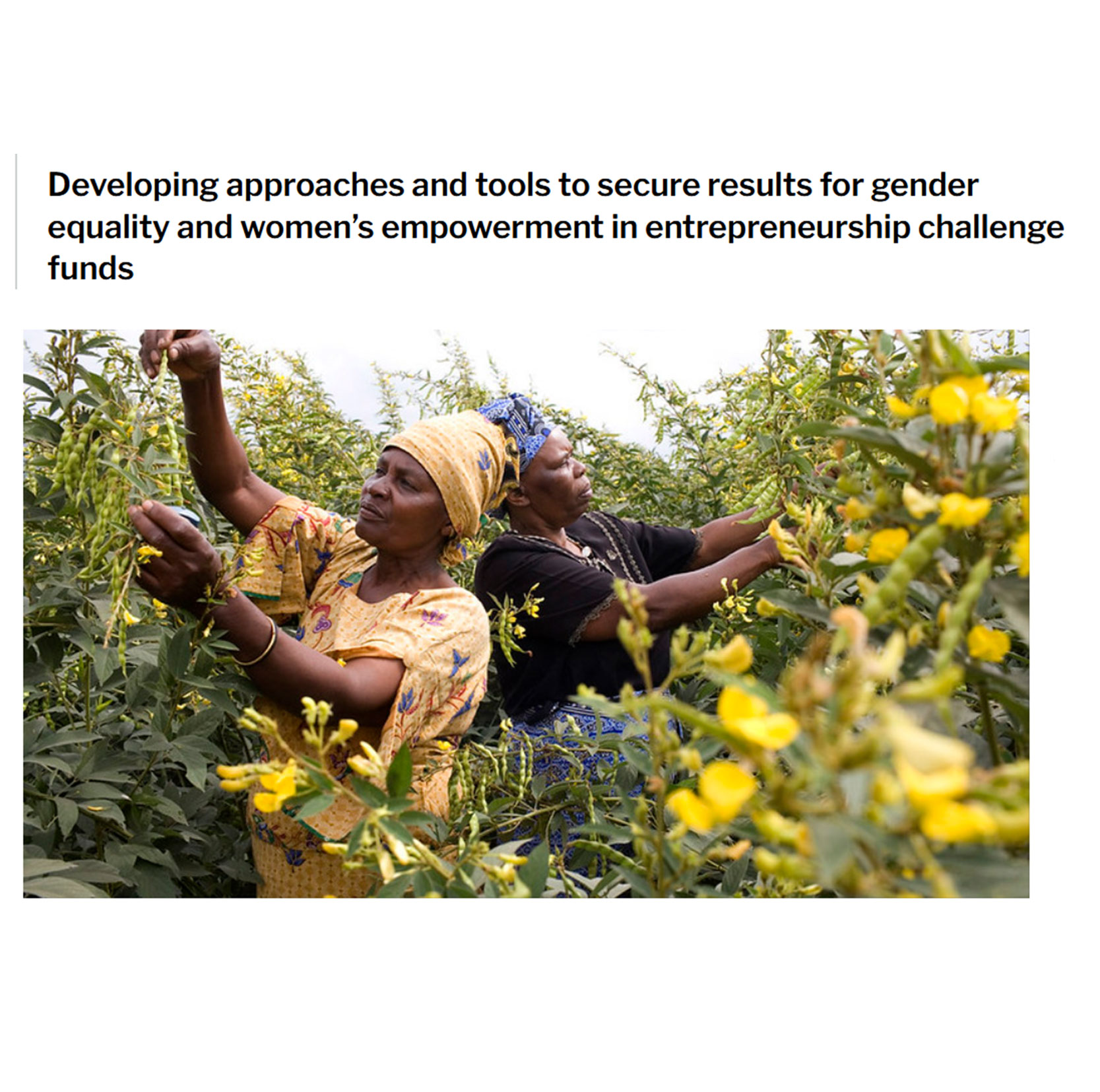 Developing approaches and tools to secure results for gender equality and women’s empowerment in entrepreneurship challenge funds.